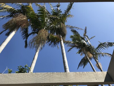 Tranquil & luxurious retreat in Grays Point