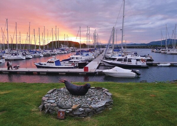 Marina