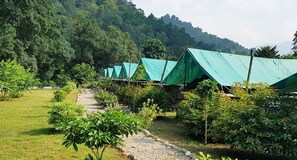 Luxury Tent | Living area