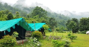 Basic Tent | Premium bedding, free WiFi