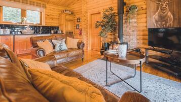 Télévision, cheminée