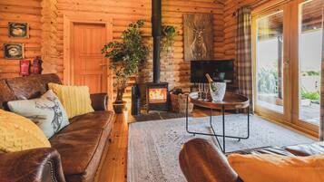 Télévision, cheminée