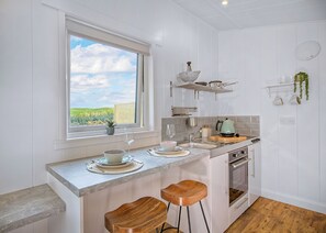 Fridge, oven, stovetop, toaster