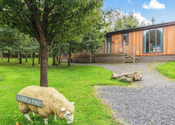 A wooden building with a gravel path, a sheep, and a sign reading 'LAMB & EWE.'