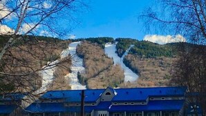 Ein Gebäude mit blauem Dach, umgeben von verschneitem Boden und Bäumen.