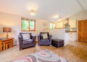 A cozy living room with two leather sofas, a wooden coffee table, a rug, and a kitchen area with cabinets and a stove. - Deluxe lodge with one master double with en suite walk-in shower and one twin. (Cartmel)