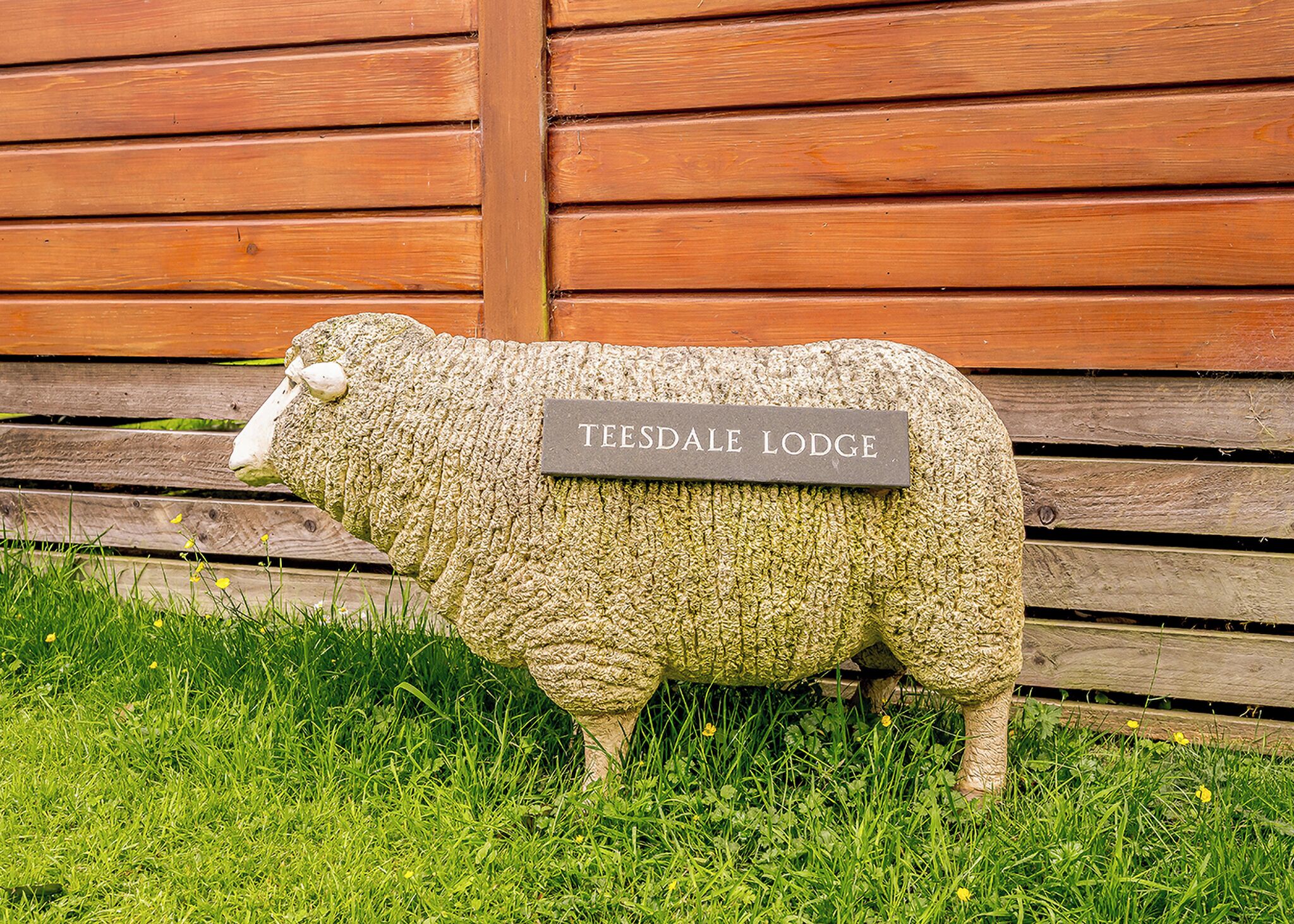 Una escultura de oveja con una placa que reza 'TEESDALE LODGE' frente a un muro de madera.