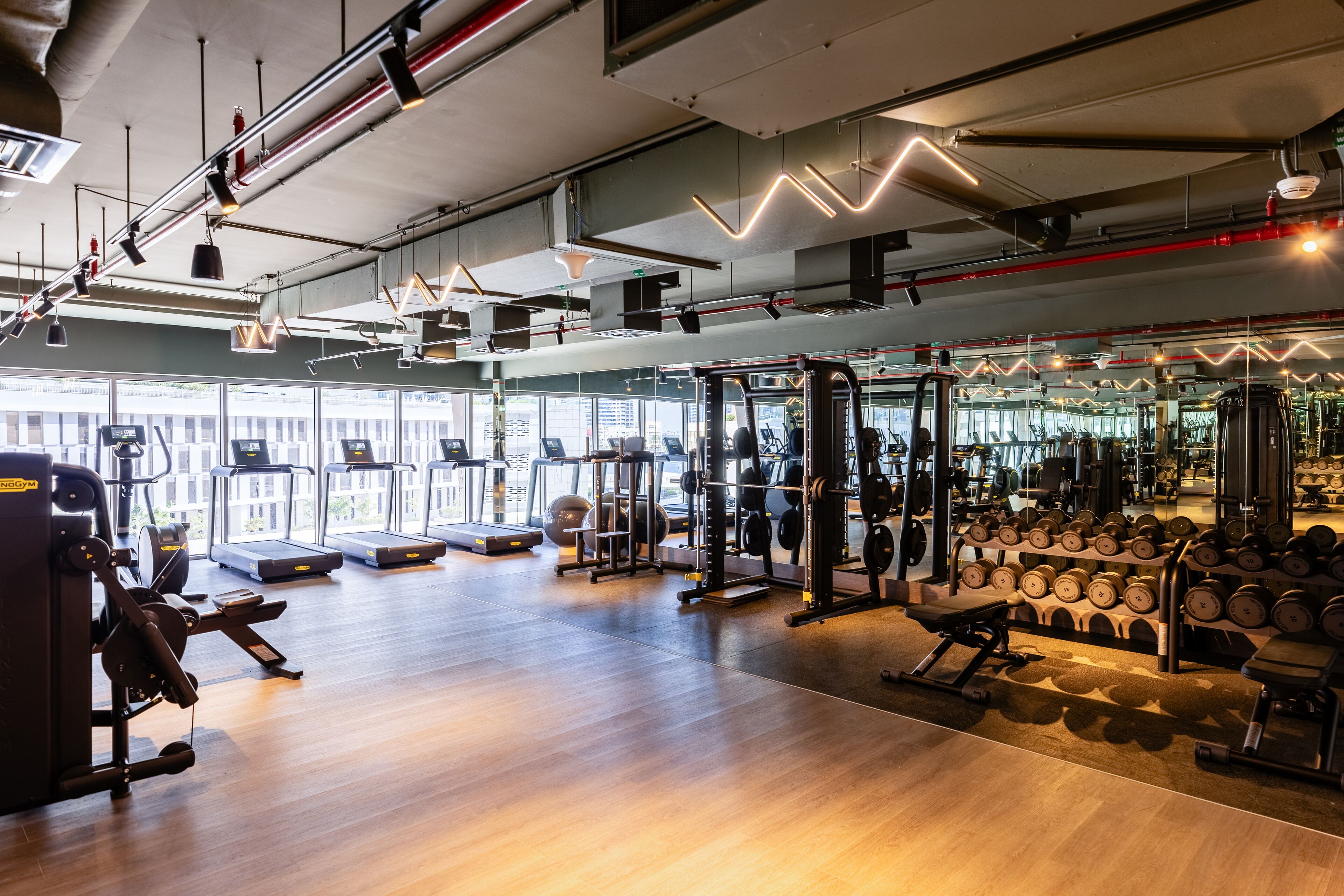 A gym with treadmills, weight machines, and free weights.