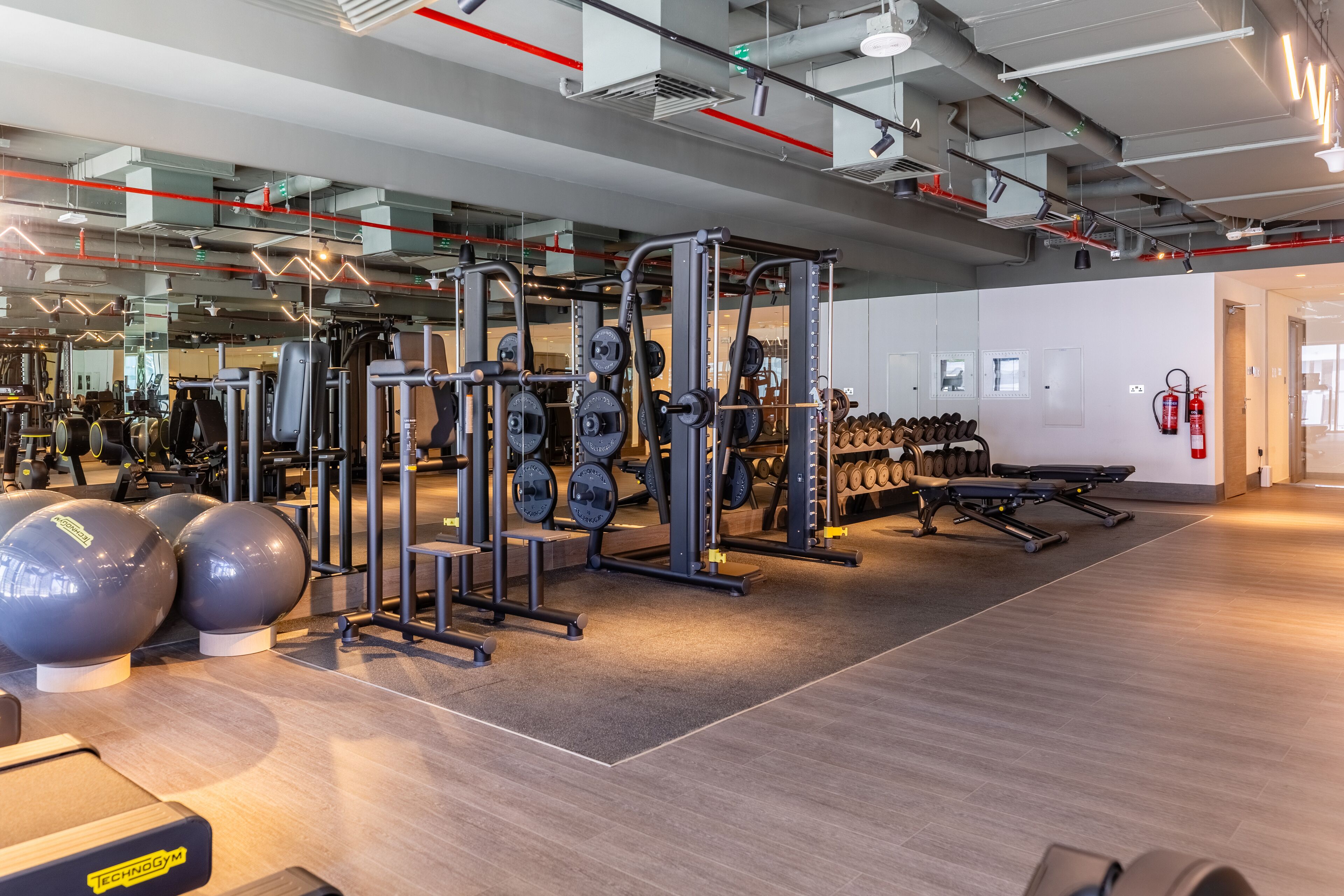 A modern gym with various exercise equipment, including weight machines, free weights, and exercise balls.