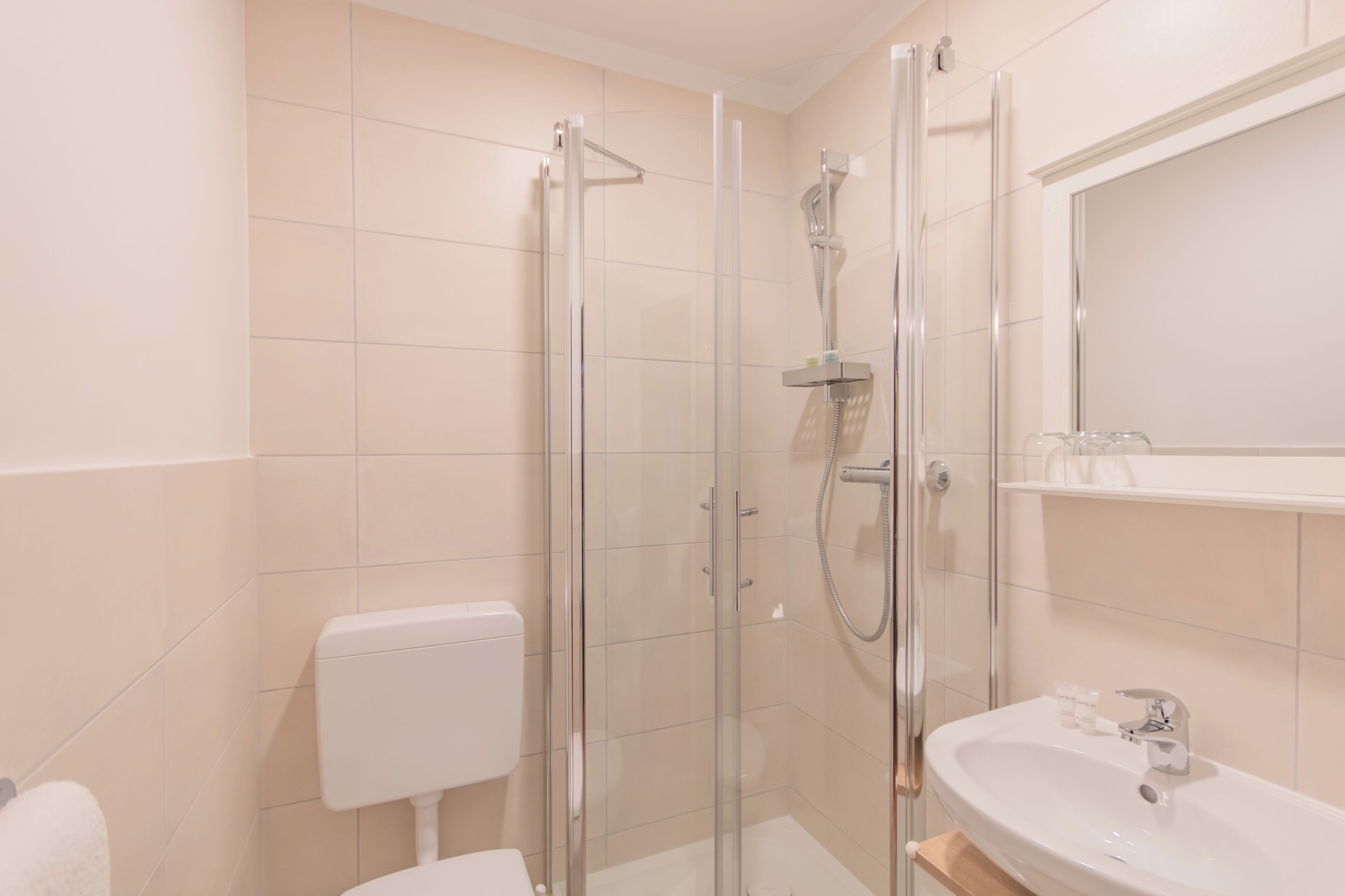 A modern bathroom with a glass-enclosed shower, a toilet, and a sink with a mirror above it.