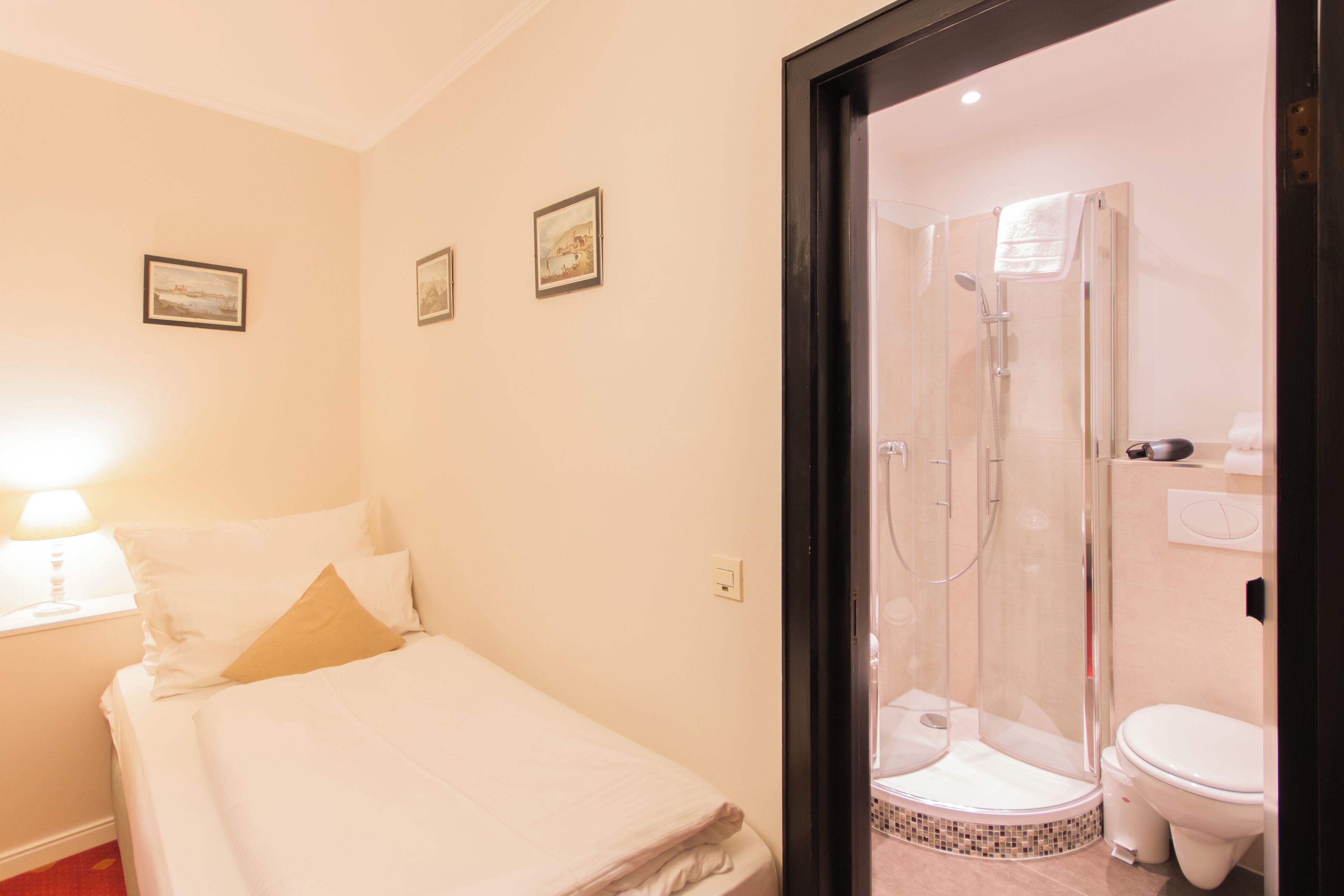 A hotel room with a bed, a nightstand with a lamp, a shower area, and a toilet.