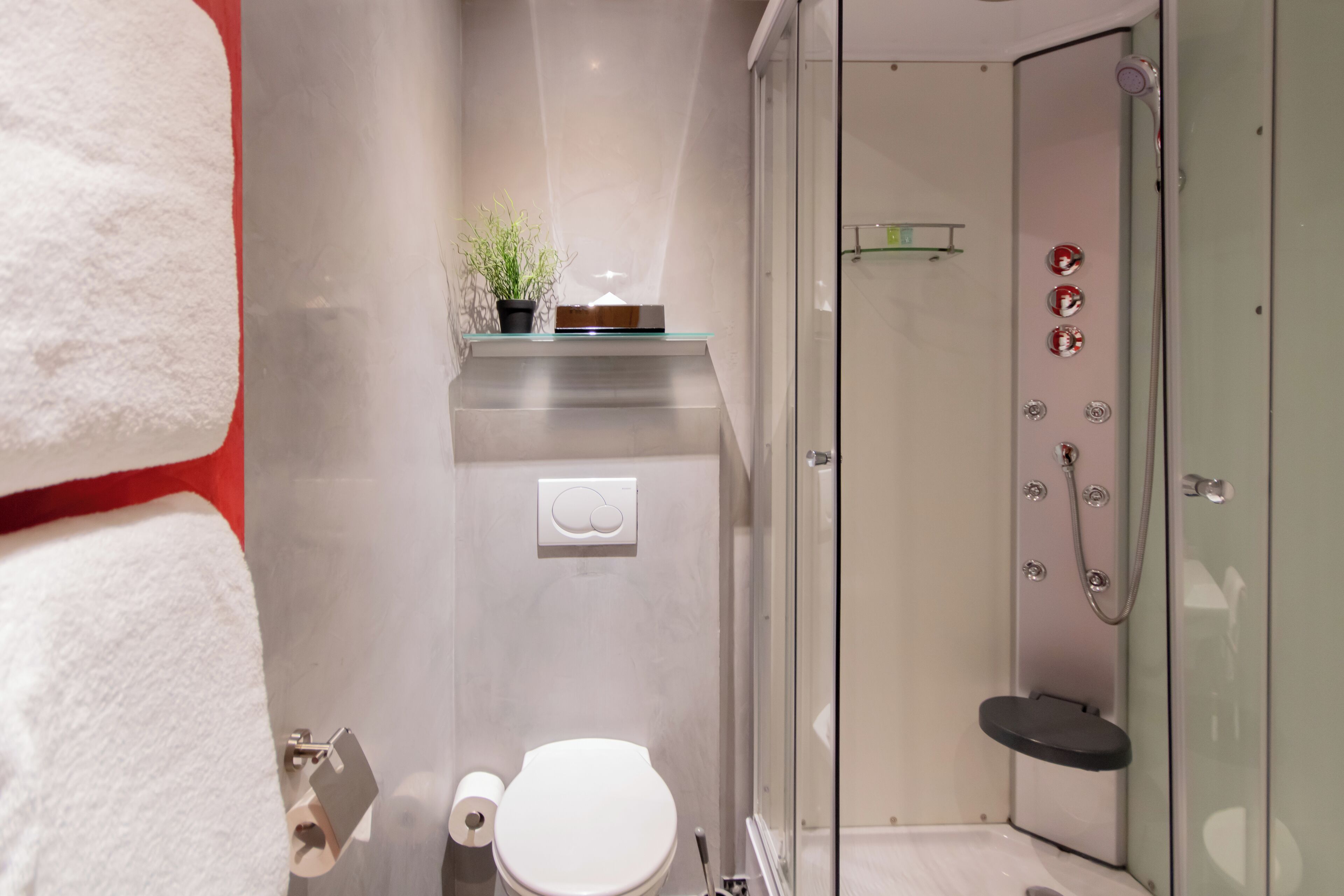A modern bathroom with a glass-enclosed shower, a toilet, and a shelf with a plant.