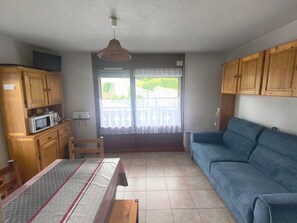 TV, DVD player - Central studio in Carroz, pets allowed, 5 people (Les Carroz d'Arâches)