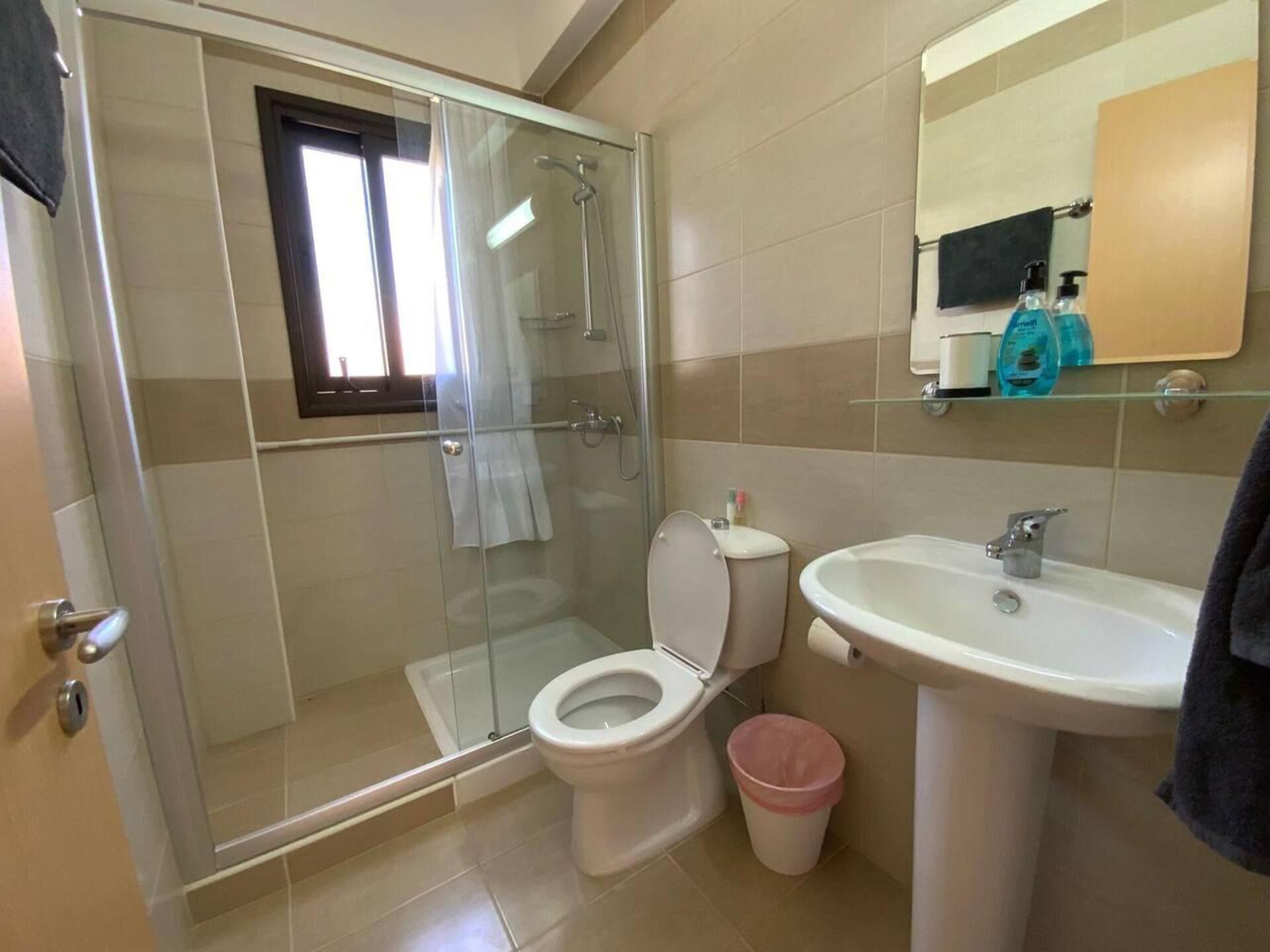 A bathroom with a glass-enclosed shower, a toilet, a sink, and a mirror.