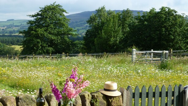 A picnic table with a bottle of wine, a book, and a vase of flowers. - The Old Cartshed - AWARD WINNING Eco conversion ,sleeps 10, Peak District views SC (Leek)