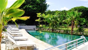 A swimming pool with lounge chairs and palm trees.