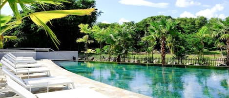 Piscine extérieure, chaises longues