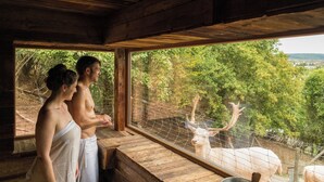 Una cabaña rústica con interior de madera, un ventanal grande con vista a un área cercada donde hay ciervos.