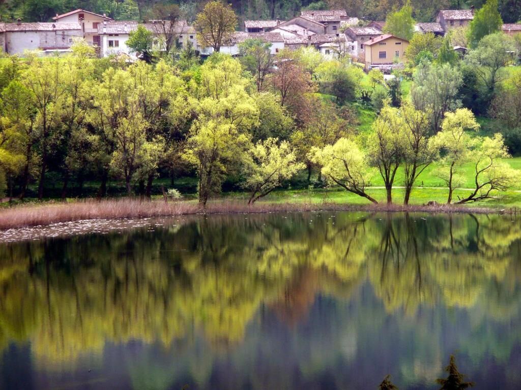 Una escena tranquila junto al lago, con el reflejo de árboles y edificios.