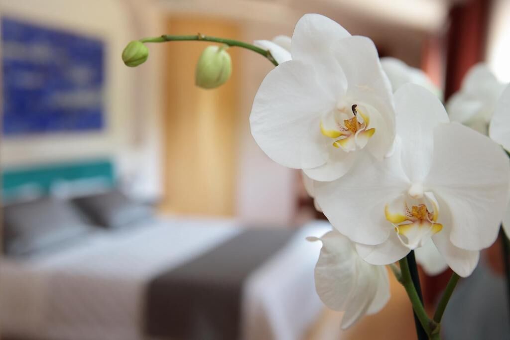 Minibar, soundproofing, WiFi (free), bed sheets