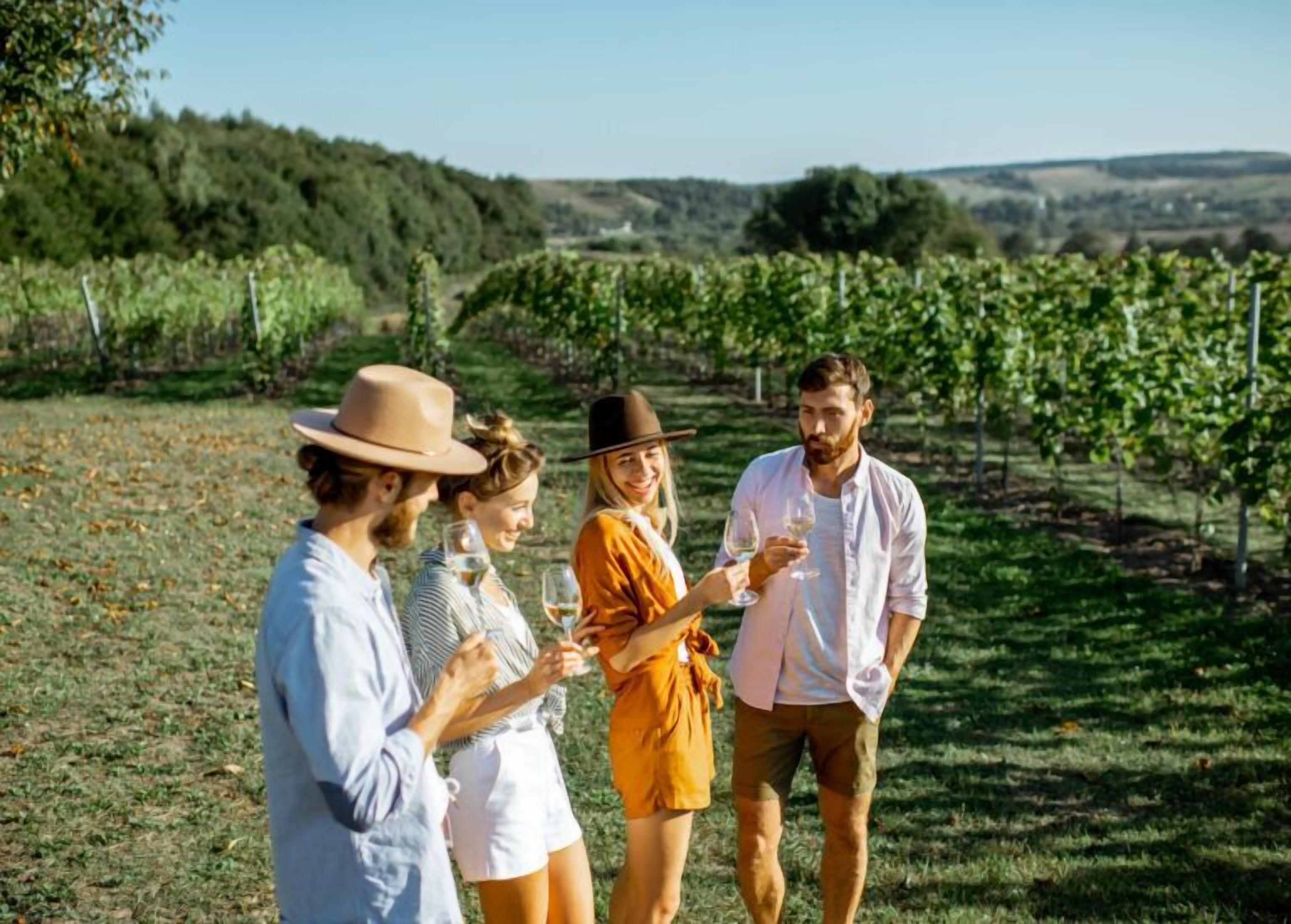 Un grupo de personas de pie en un viñedo con hileras de vid.