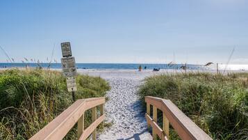 En la playa y bar en la playa