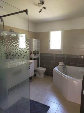 Combined shower/tub, hair dryer
