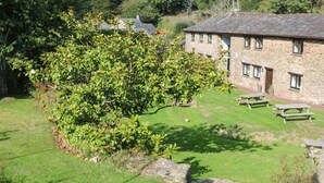 A stone building with a grassy yard and a large tree. - Primrose at Stancombe Manor, Nr Kingsbridge (Kingsbridge)