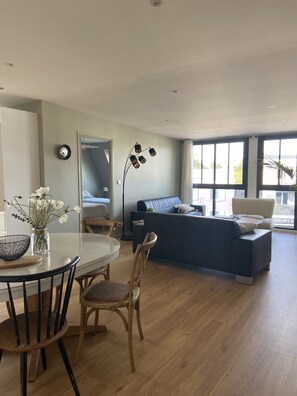 TV, DVD player, books