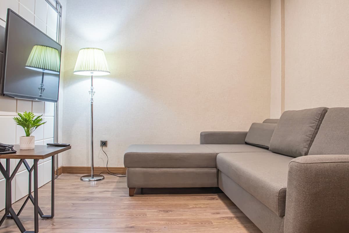 A modern living room with a sectional sofa, a flat-screen TV mounted on the wall, a standing floor lamp, and a small table with a plant.