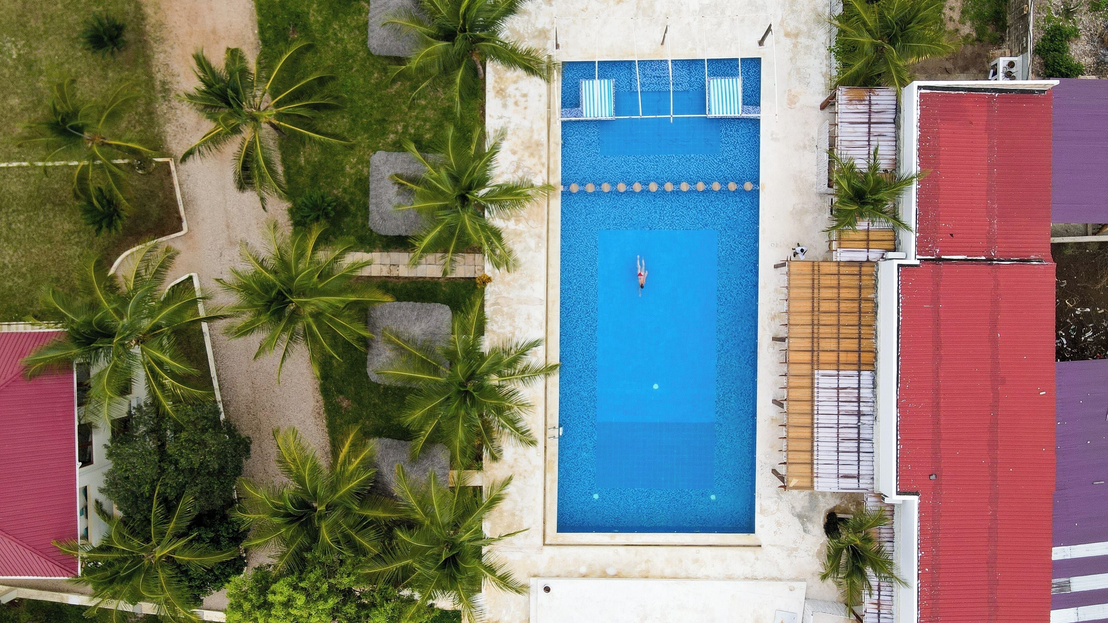 Vista aérea de una piscina rodeada de palmeras y edificios con techos rojos y morados.
