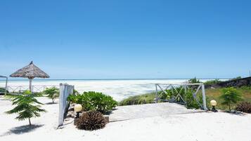 Ein Strand mit einem Reetdachschirm, Palmen und freiem Blick auf das Meer.