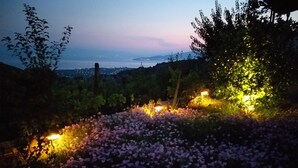 A garden with a view of the city at dusk. - Mikros Paradisos Pelion (Volos)