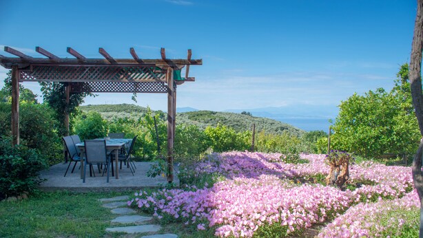 A garden with a pergola, stone pathway, and a table with chairs. - Mikros Paradisos Pelion (Volos)