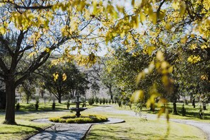 Luxury King Suite with Lounge | View from room - Enfield House (Menah)