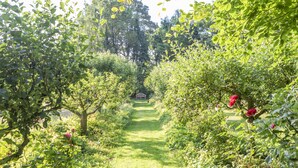 A garden pathway surrounded by lush greenery and flowering plants. - 8-bed Lotus Belle Mahal Tent in The Wye Valley (Ross-on-Wye)