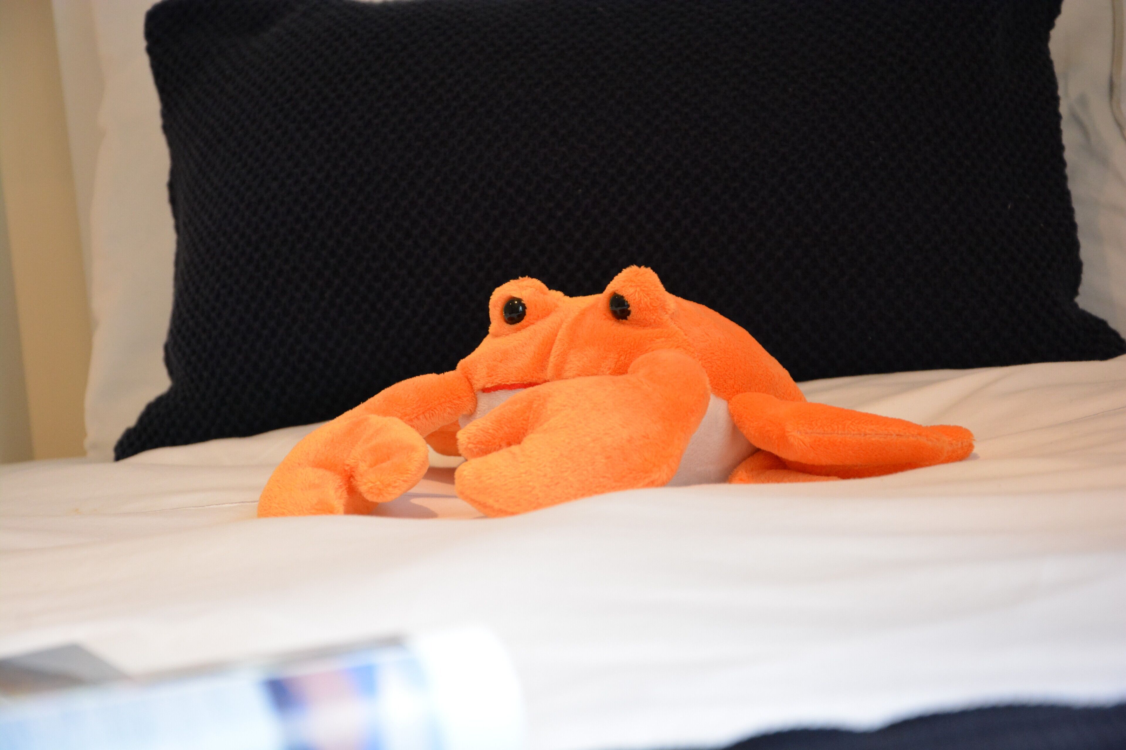 A bed with a black pillow and an orange plush toy.