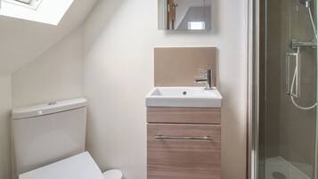 A modern bathroom with a skylight, a toilet, a sink with a mirror, and a shower.