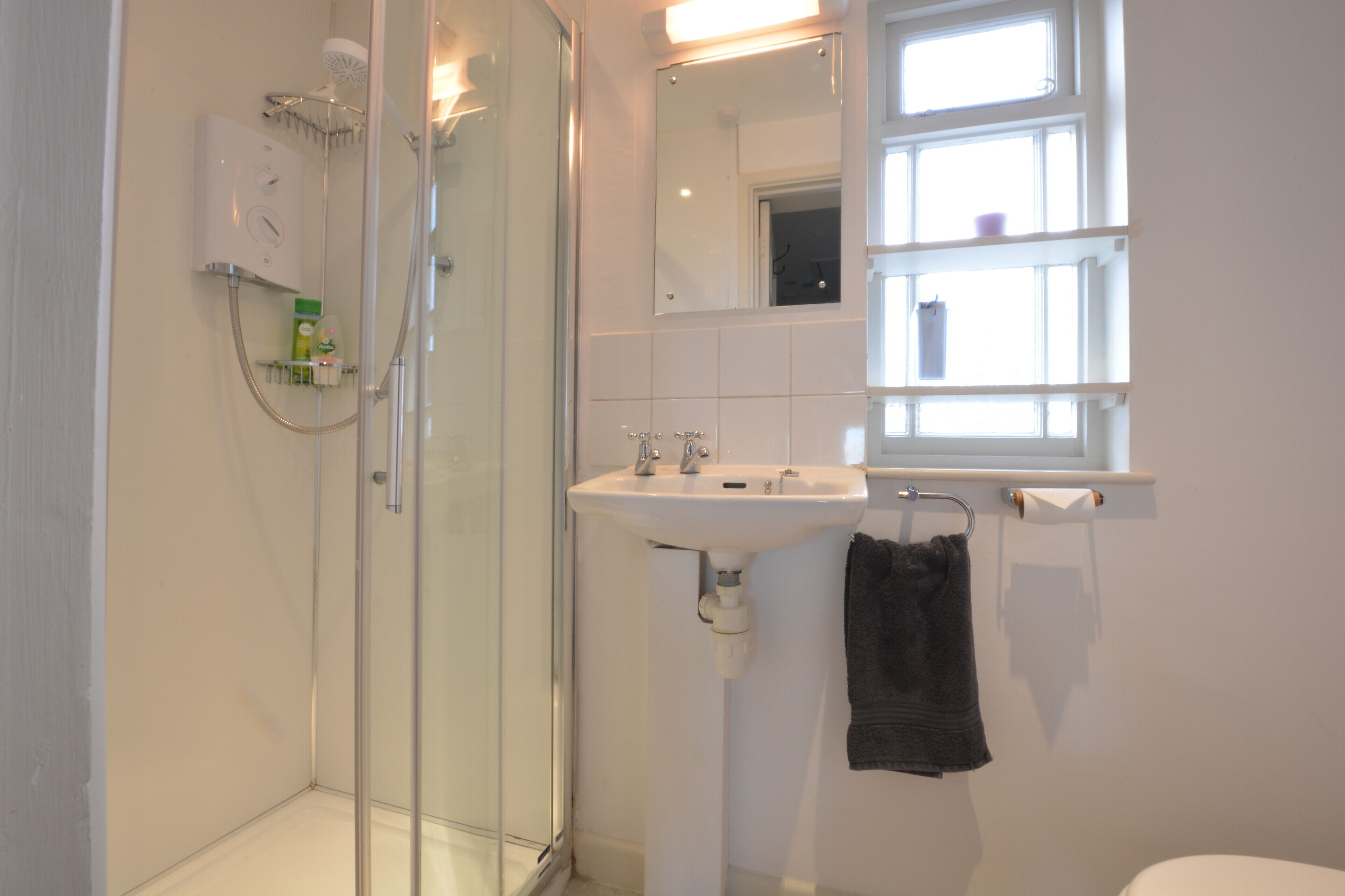 A bathroom with a glass-enclosed shower, a white sink, and a mirror above it.