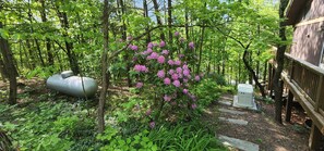 Property grounds - Sauna☆Pool Table☆Bar☆2 Fireplaces☆
4 Bedroom+Loft Cabin☆ On Bryce Resort (Basye)