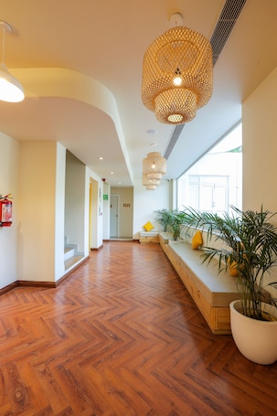 Un pasillo amplio con suelo de madera, una zona de recepción con un banco, plantas en macetas y un ventanal que proporciona luz natural.