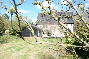 Property grounds - The White House With Studio (Harleston)