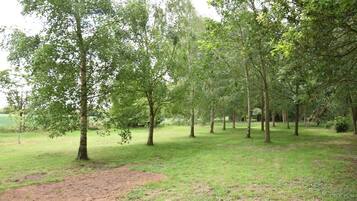 A natural outdoor area with trees and grass.