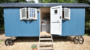 A small, blue mobile home with a white door and windows, a kitchen area visible through the door, and a wooden ladder leading to the entrance.