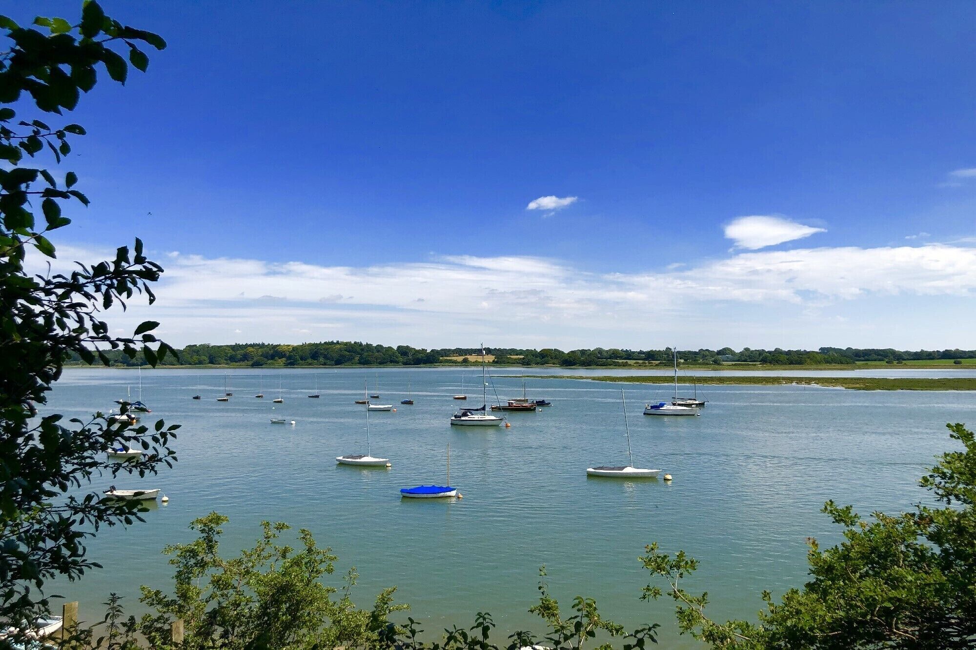 A calm lake with several boats anchored, surrounded by greenery and a clear sky.