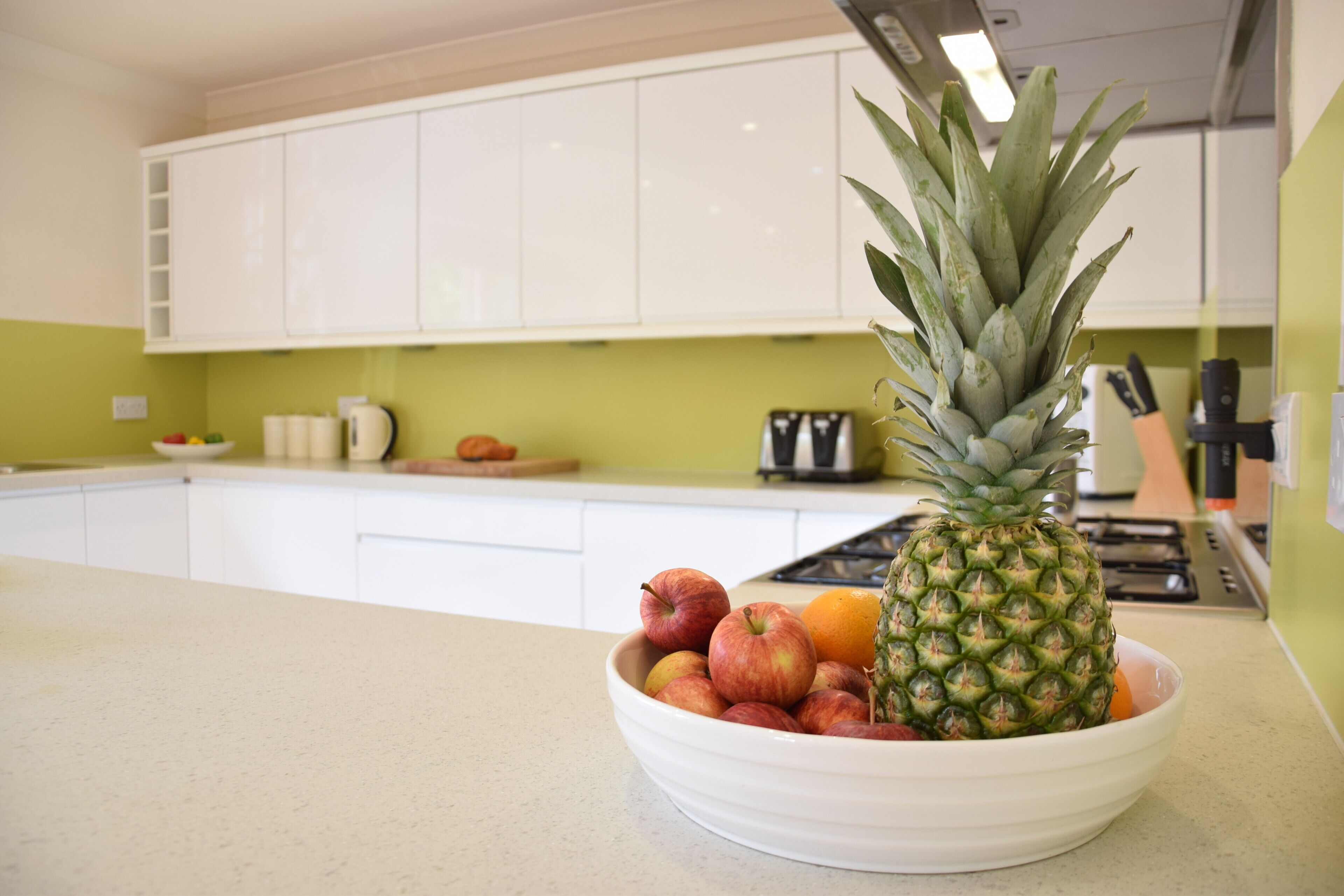 Fridge, cookware/dishes/utensils