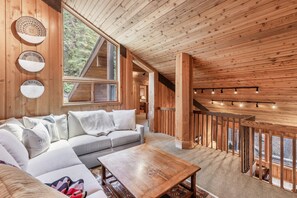 TV, fireplace, books