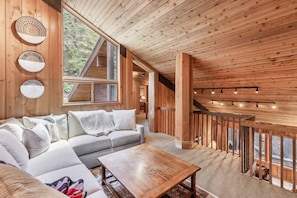 TV, fireplace, books