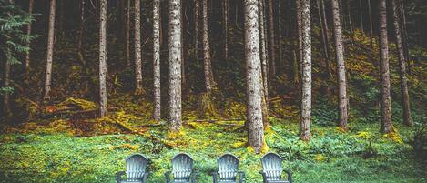 Un bosque con cuatro sillas Adirondack alineadas.