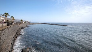 Un paseo marítimo con muro de piedra, palmeras y vista al mar.
